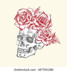 Hand drawn sketch human skull with wreath of flowers. Red roses Funny character Black graphic Engraving art isolated on white background. Vintage style. Vector illustration
