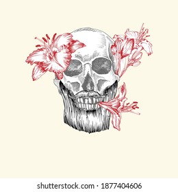 Hand drawn sketch human skull with beard and mustache in wreath of flowers. Red lilies Funny character Black graphic Engraving art isolated on white background. Vintage style. Vector illustration