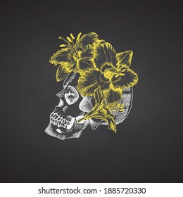 Hand drawn sketch human skull in wreath of flowers. Yellow lilies Funny character Chalk graphic Engraving isolated on chalkboard background Vintage style Vector illustration