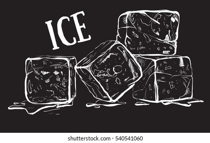 Hand Drawn Sketch Ice Cube. Eco Food. Vector Illustration. Organic Illustration