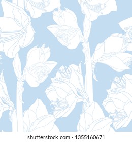 Hand drawn sketch illustration of Amaryllis (Hipperastrum) lilies flowers seamless pattern. Floral blue background, backdrop element for fabric, textile design, wedding.