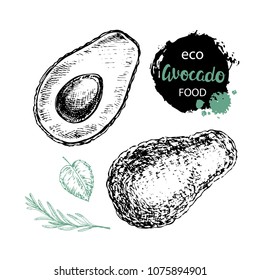Hand drawn sketch illustration avocado