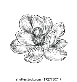 Hand drawn sketch illustration with beautiful flowers