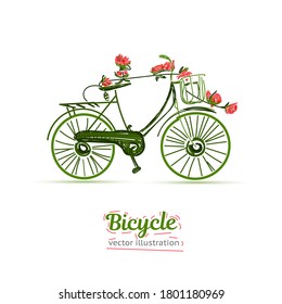 Hand drawn sketch illustration of bicycle. Vector bike illustration with roses. 