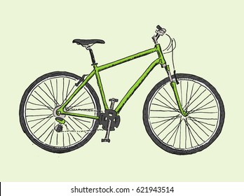 Hand drawn sketch illustration of bicycle. Vector bike illustration