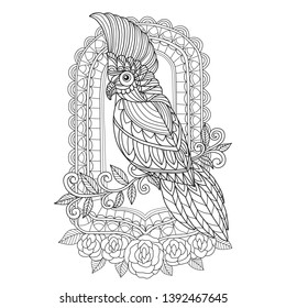 Hand drawn sketch illustration of bird and mirror for adult coloring book, T-shirt emblem, logo or tattoo, zentangle design elements. Zentangle stylized cartoon isolated on white background. 