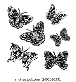 Hand drawn sketch illustration of butterflies on a white background