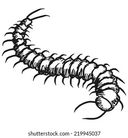 Featured image of post Centipede Drawing Black And White If you have a word document that contains color text or graphics but you want to print it in black and white or grayscale you can do so by changing your printer properties