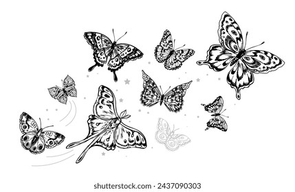 Hand drawn sketch illustration collection of butterflies on a white background. Spring concept. Vector retro style