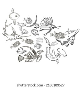 Hand drawn sketch illustration with fish. Wildanimal vector. Restaurant food card for seafood menu.