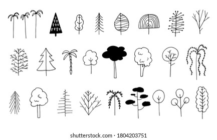 Hand drawn sketch illustration of forest tree. Doodle park with fir, palm, conifer, pine, oak and other trees