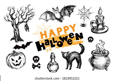 Hand drawn sketch illustration with Halloween elements on white background. Black cat, spider, bat and pumpkin