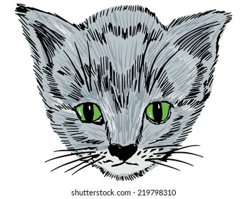 hand drawn, sketch illustration of kitten