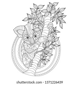 Hand drawn sketch illustration of koala for adult coloring book, T-shirt emblem, logo or tattoo, zentangle design elements. Zentangle stylized cartoon isolated on white background. 