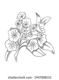 Hand Drawn Sketch Illustration Of Mountain Laurel Flower