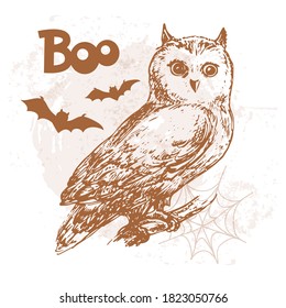 Hand drawn sketch illustration with owl for Halloween