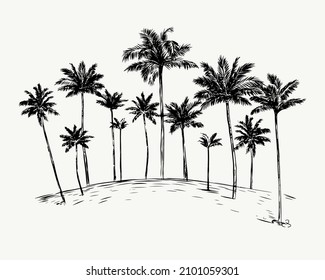 Hand drawn sketch illustration with palm grove. Perfect for banner, poster, logo