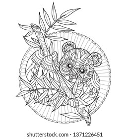 Hand drawn sketch illustration of panda for adult coloring book, T-shirt emblem, logo or tattoo, zentangle design elements. Zentangle stylized cartoon isolated on white background. 