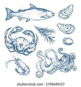 Hand drawn sketch illustration with seafood. Octopus, salmon, shrimp, crab and oysters