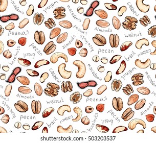 Hand drawn sketch illustration seamless background pattern with kind of nuts cashew, peanuts, almonds, macadamia, huzelnuts, pecan, brazil, walnut with lettering colored vector