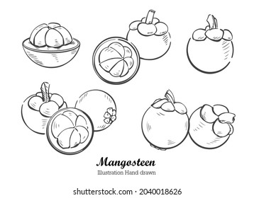 Esbozo dibujado a mano, conjunto de ilustraciones Mangosteen sobre fondo blanco, 
estilo de tinta monocromo de contorno para ilustraciones, logotipo, vector de embalaje.