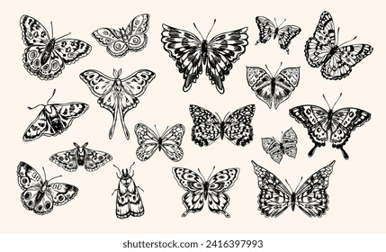 Conjunto de ilustraciones de boceto dibujadas a mano de mariposas. Concepto de primavera. Estilo retro vectorial