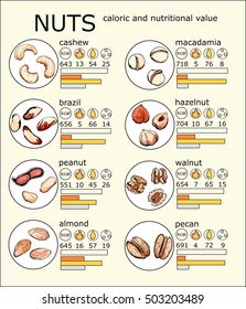 Hand drawn sketch illustration set kind of nuts cashew, peanuts, almonds, macadamia, hazelnuts, pecan, brazil, walnut with lettering colored vector infographics caloric and nutritional value
