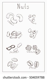 Hand drawn sketch illustration set kind of nuts cashew, peanuts, almonds, macadamia, hazelnuts, pecan, brazil, walnut with lettering vector