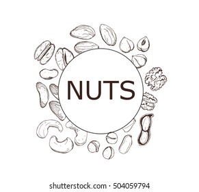 Hand drawn sketch illustration set kind of nuts cashew, peanuts, almonds, macadamia, hazelnuts, pecan, brazil, walnut with lettering and space for text logo vector