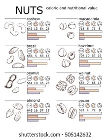 Hand drawn sketch illustration set kind of nuts cashew, peanuts, almonds, macadamia, hazelnuts, pecan, brazil, walnut with lettering colored vector infographics caloric and nutritional value