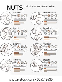 Hand drawn sketch illustration set kind of nuts cashew, peanuts, almonds, macadamia, hazelnuts, pecan, brazil, walnut with lettering colored vector infographics caloric and nutritional value