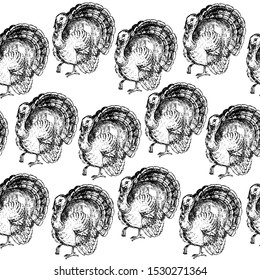 Hand drawn sketch illustration with turkey seamless pattern on a white background. Thanksgiving day concept