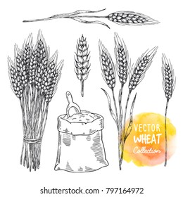 	
Hand drawn sketch illustration of wheat. Sheaf of wheat and bag of flour with shovel. Agriculture theme concept, cereal products, bakery pattern, healthy food. Vector elements for label, packaging.