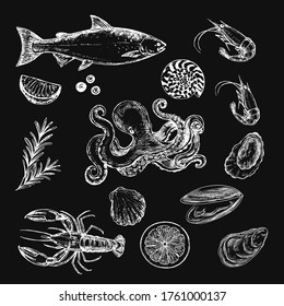 Hand drawn sketch illustrator with a set of seafoods on a blackboard. Salmon, octopus, oysters and shrimp