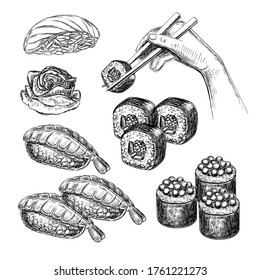 Hand drawn sketch illustrator sushi rolls in vintage style on a white background