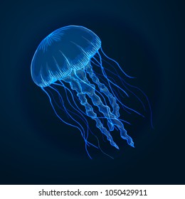 Нарисованный вручную эскиз изолированных медуз, морских животных - Рисунок фондового вектора