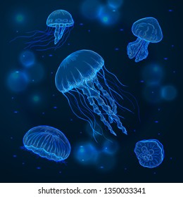 Hand drawn sketch isolated jellyfish, marine animals - Stock Vector illustration