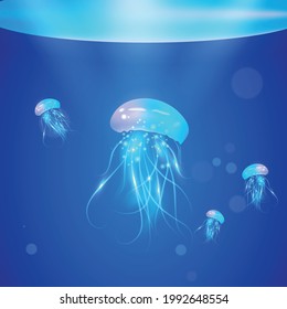 Hand drawn sketch isolated jellyfish. Realistic Detailed 3d Transparent Jellyfish in The Water. Vector illustration of Medusa and Marine Underwater Scene