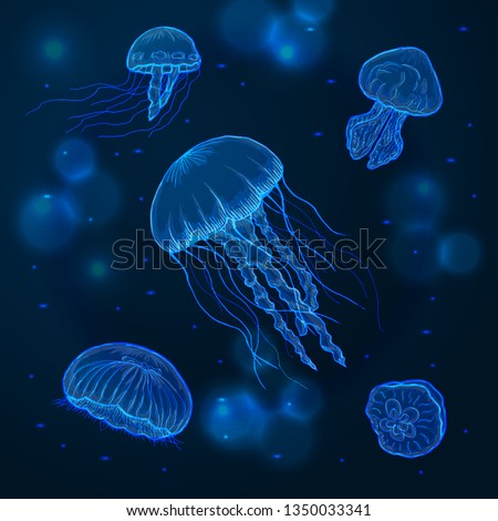 Similar – Image, Stock Photo Jellyfish in the water