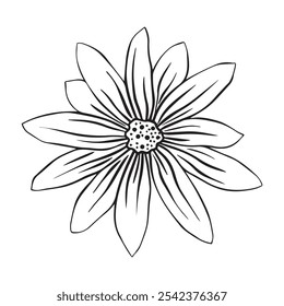 Desenho desenhado à mão da flor de topinambos ou planta Helianthus tuberosus isolada sobre fundo branco