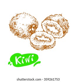 Hand drawn sketch of kiwi isolated on white background. Vector vintage line art illustration of fruit for your design. 

