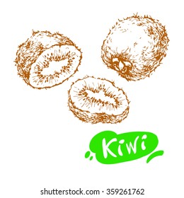 Hand drawn sketch of kiwi isolated on white background. Vector vintage line art illustration of fruit for your design. 
