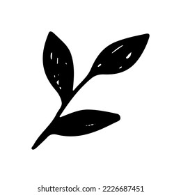 Hand drawn sketch leaf isolated on white background