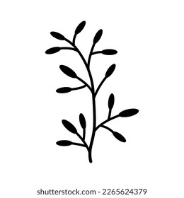 Hand drawn sketch leaf isolated on white background.
Simple doodle style.
