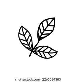 Hand drawn sketch leaf isolated on white background.
Simple doodle style.