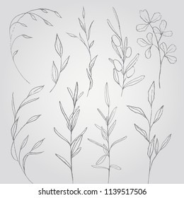 Hand drawn sketch of leaves for background. Vector illustration