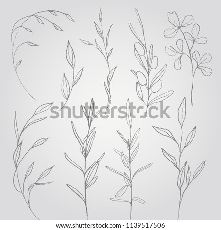 Hand drawn sketch of leaves for background. Vector illustration