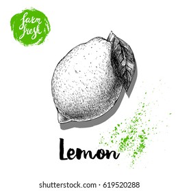 Hand drawn sketch lemon with leaf sticker poster. Vitamin and healthy tropic fruit vector illustration.