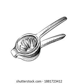 Hand drawn sketch of lemon squeezer on a white background. Black and white sketch of Squeezer. Bar inventory