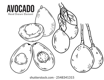 Hand drawn sketch line art of avocado fruit, cut avocado, avocado on twig, and whole avocado. Ornament designs for fruit, packaging, beauty, agriculture and others